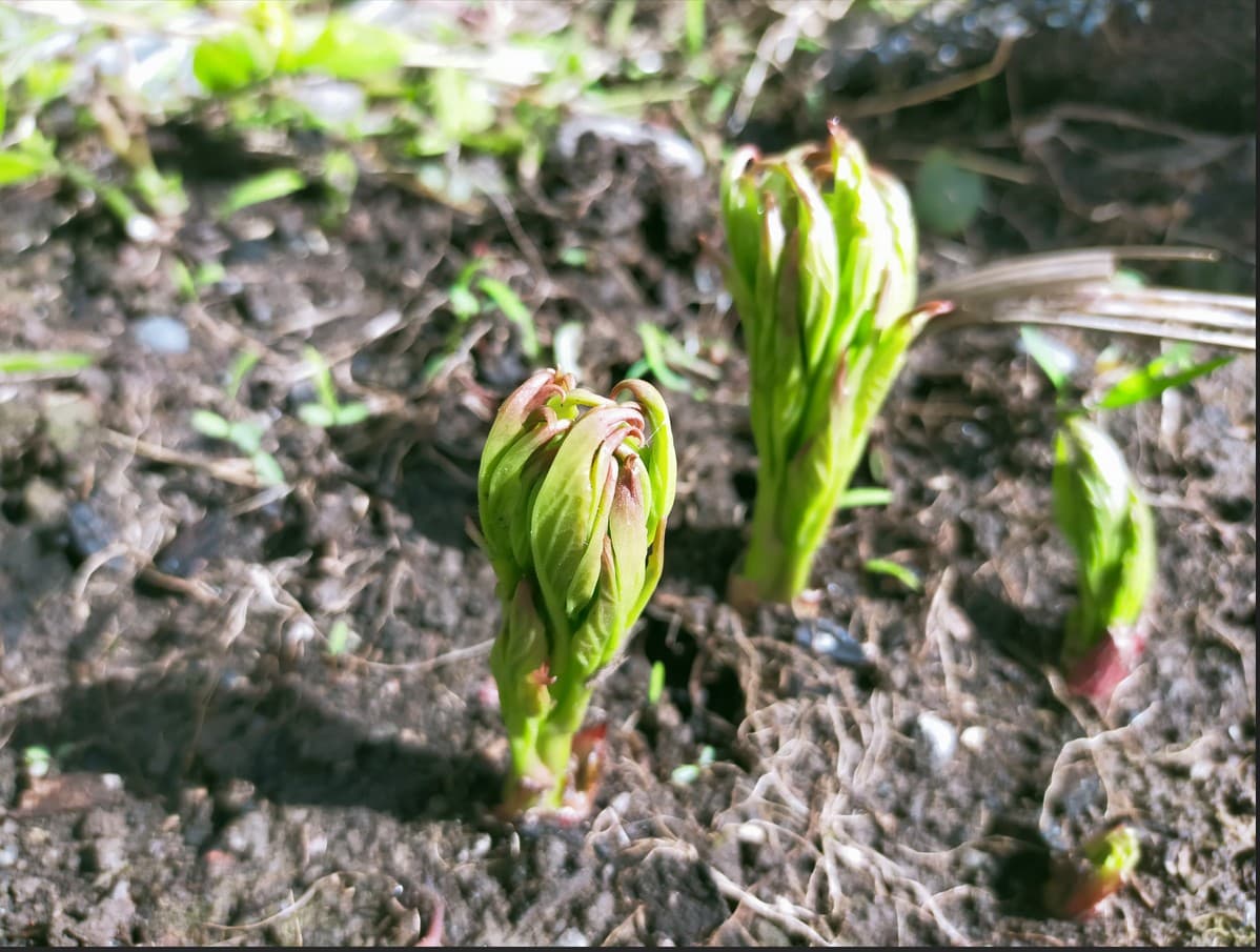 Business Plan Coaching