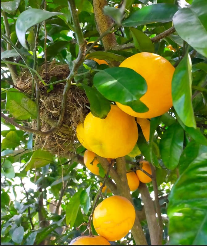 Lifelong Learning in New Zealand