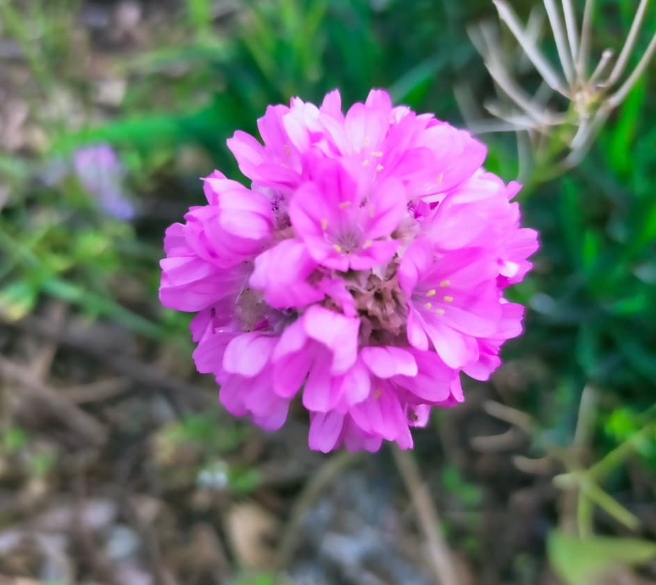 Personal Branding in New Zealand