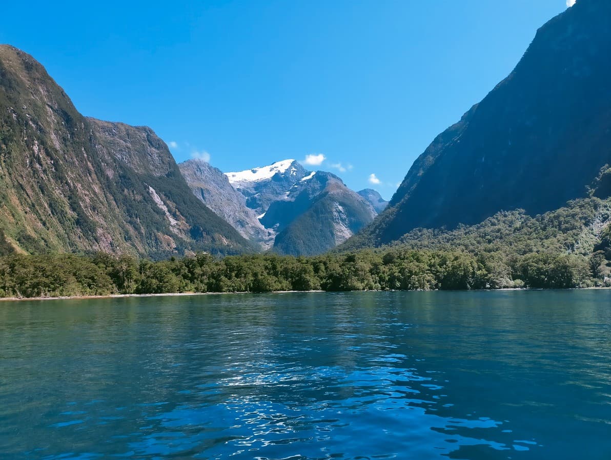 Get a job as a new arrival