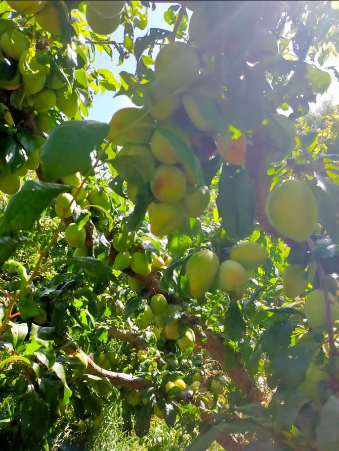 Protect Your Customers