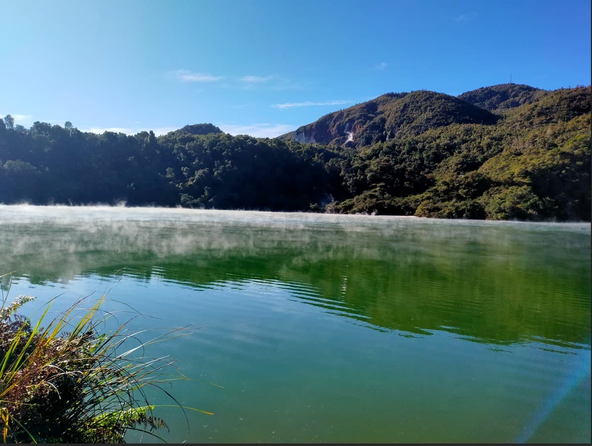 Protect Your Family from Crisis