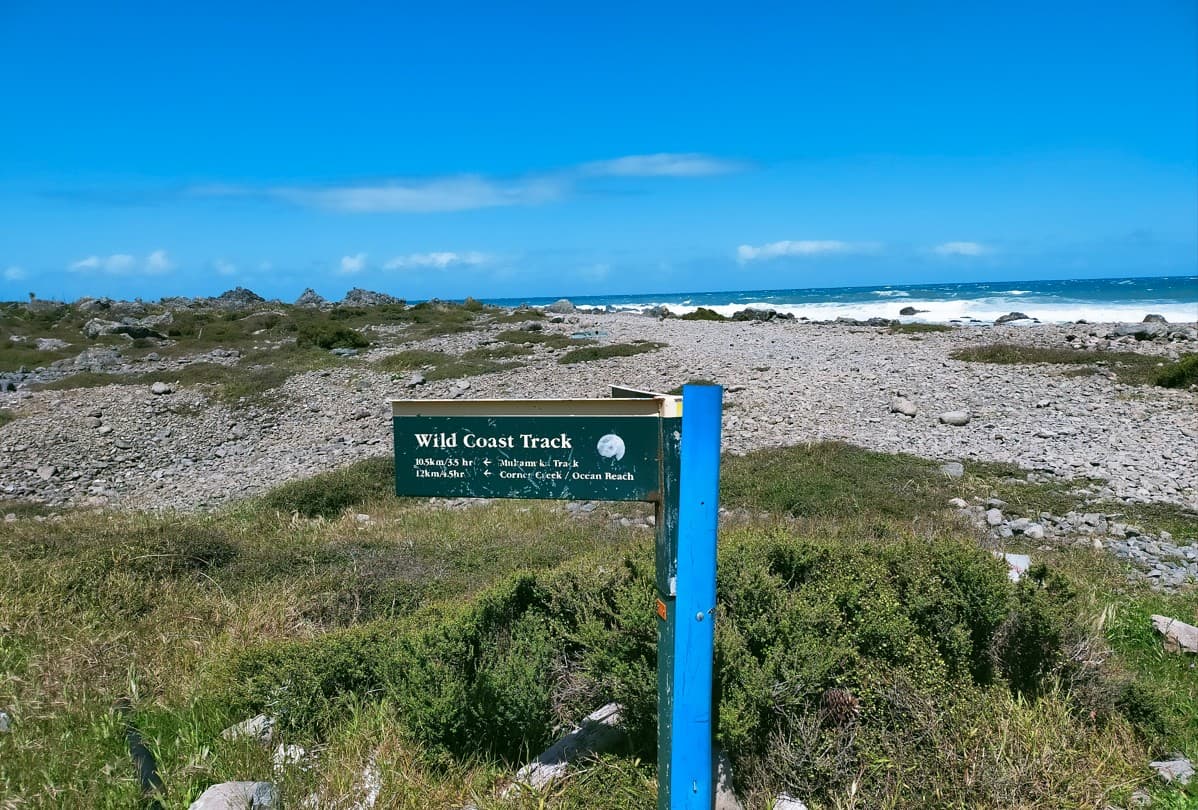 Buy Healthy Foods for Less Money