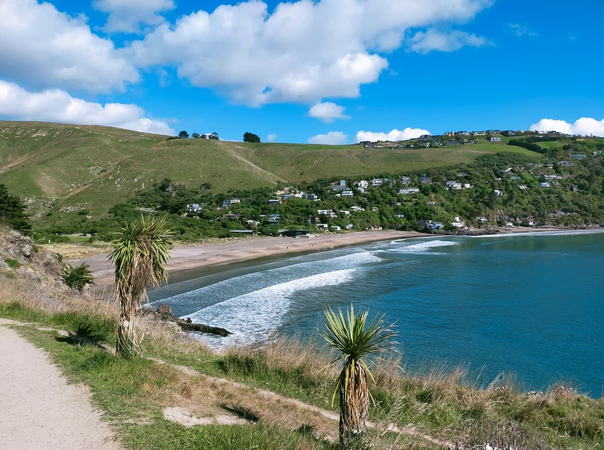 How to work with the teacher