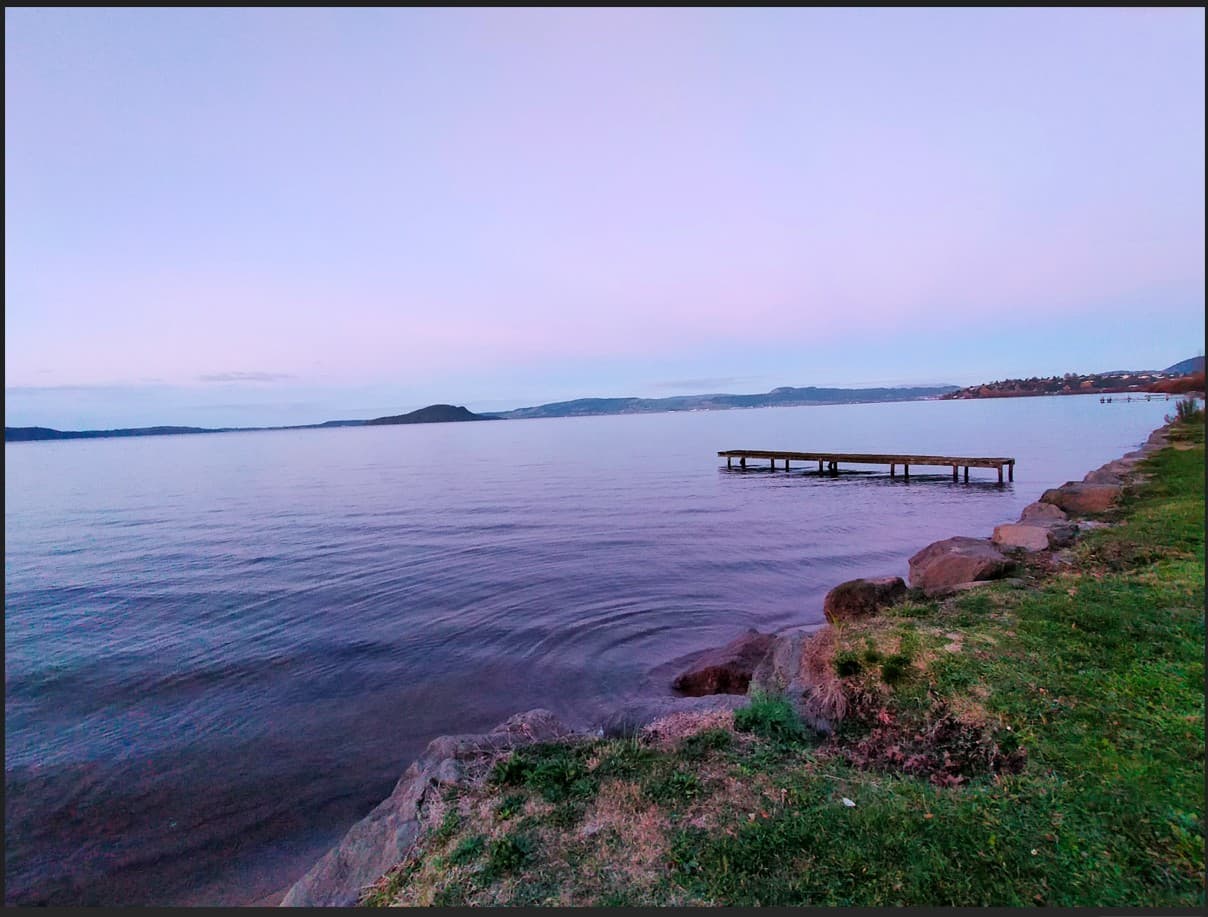 How to work with a Professional