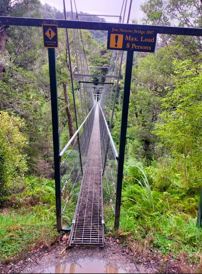 How to Invest in New Zealand